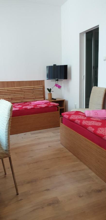 Pension Haus Baron 1 Neckarau MHG Buitenkant foto