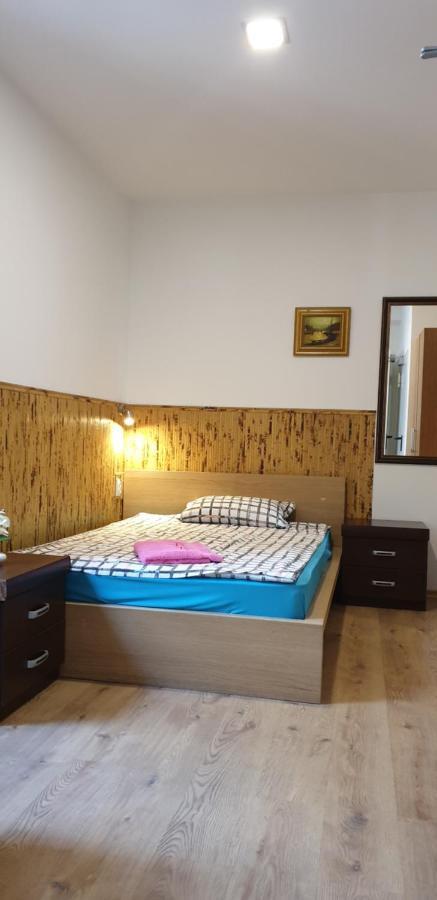 Pension Haus Baron 1 Neckarau MHG Buitenkant foto